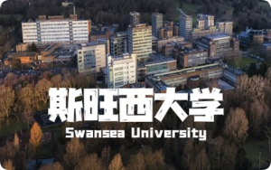 英国斯旺西大学作业考试要求全攻略：提交方式、延期申请、Turnitin查重、学术诚信一次讲清
