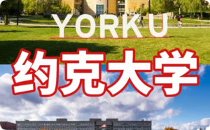 约克大学作业考试与Turnitin查重要求全攻略：从新生到毕业的避坑指南