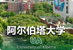 加拿大阿尔伯塔大学作业和考试要求全攻略（附turnitin查重避坑指南）