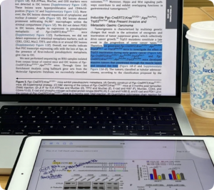 医学SCI论文图片重复率自查，用ImageTwin到底靠不靠谱？