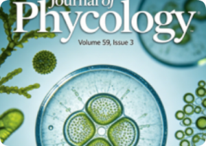 藻类学领域的老牌SCI期刊——《Journal of Phycology》全方位解读，投稿前先看这篇