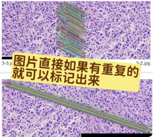 SCI/EI 投稿避坑：iThenticate 和 ImageTwin 分开查够用吗？图文查重搭配逻辑详解
